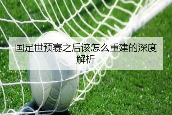 国足世预赛之后该怎么重建的深度解析
